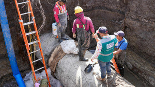 Fuga Periférico Oriente